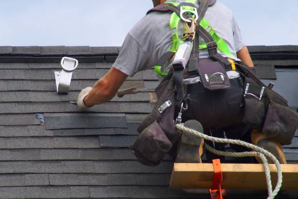 Best Roof Waterproofing Services  in Hampshire, IL