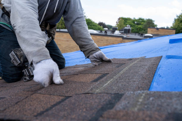 Best Roof Leak Repair  in Hampshire, IL