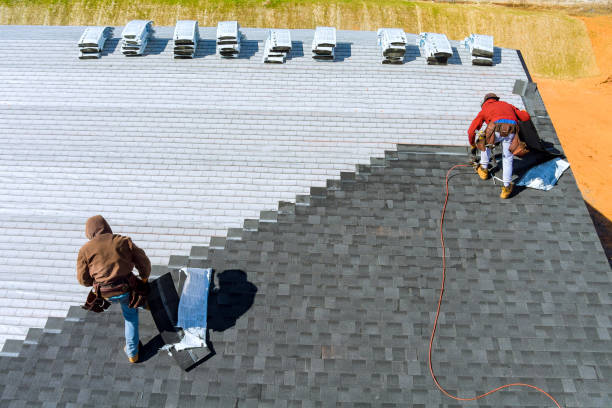 Best Roof Gutter Cleaning  in Hampshire, IL
