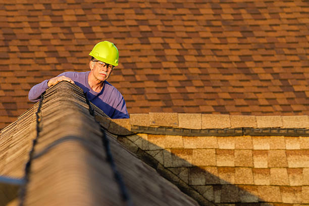 Best Flat Roof Repair Services  in Hampshire, IL