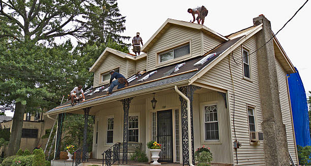 Best Gutter Installation and Roofing  in Hampshire, IL